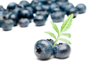 Blueberrys clipart