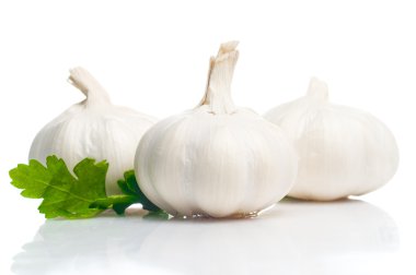 Garlic clipart