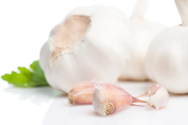 Garlic Stock Picture