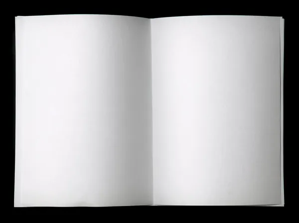 Livro em branco — Fotografia de Stock