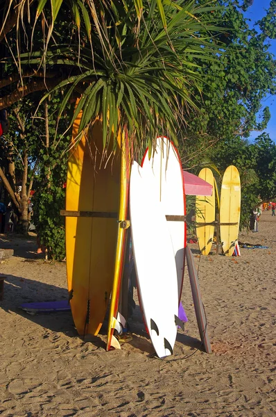 stock image Surfboards on the beach