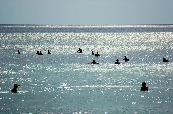 Surfistas e nadadores — Fotografia de Stock