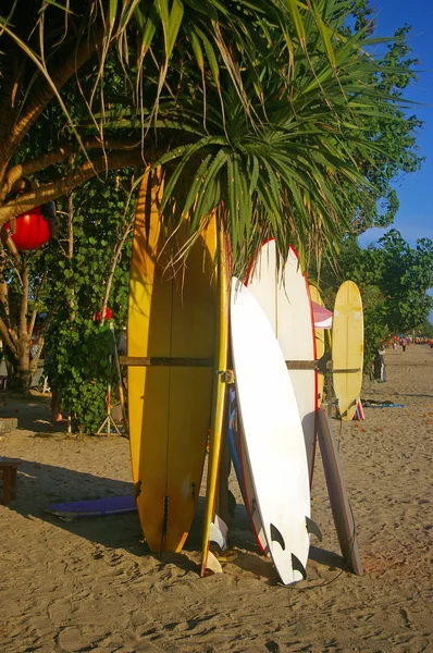 stock image Surfboards in Bali