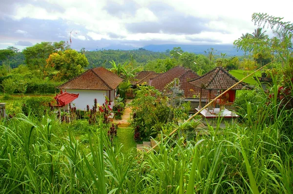 巴厘岛的村庄 — 图库照片