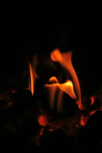 Ateşe odun yanan — Stok fotoğraf