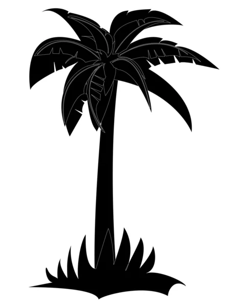 Palm — Stockfoto