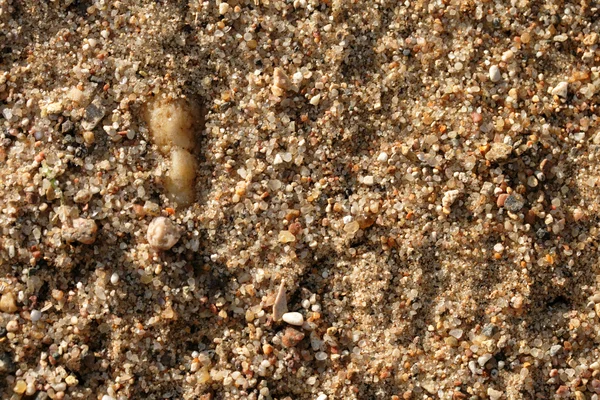 De rivier zand — Stockfoto