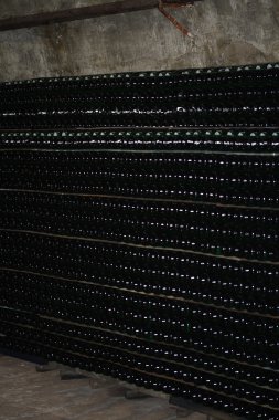 Cellars champagne Abrau-Durso clipart