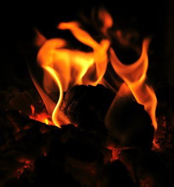 Burning fire wood clipart