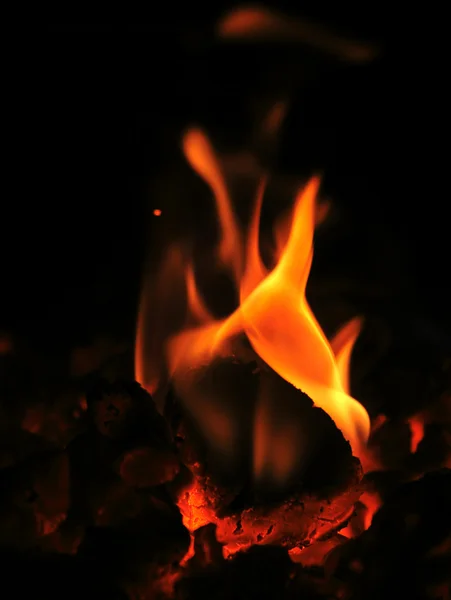 Brinnande ved — Stockfoto