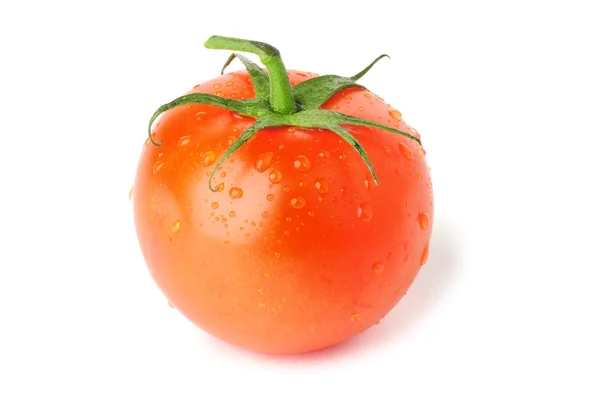 stock image Tomato