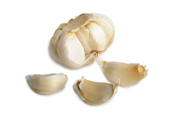 stock image Garlic