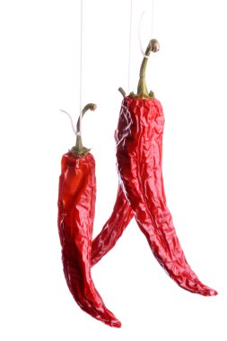 Dried chili peppers clipart