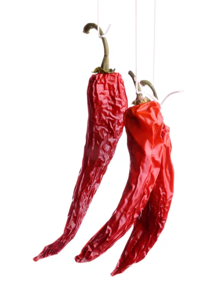 Suszone papryki chili — Zdjęcie stockowe