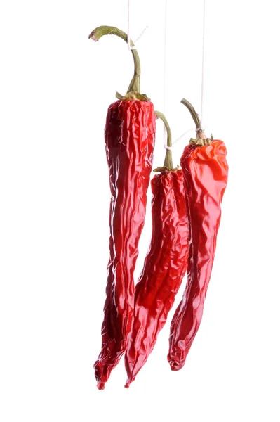 Sušené papričky dhili — Stock fotografie