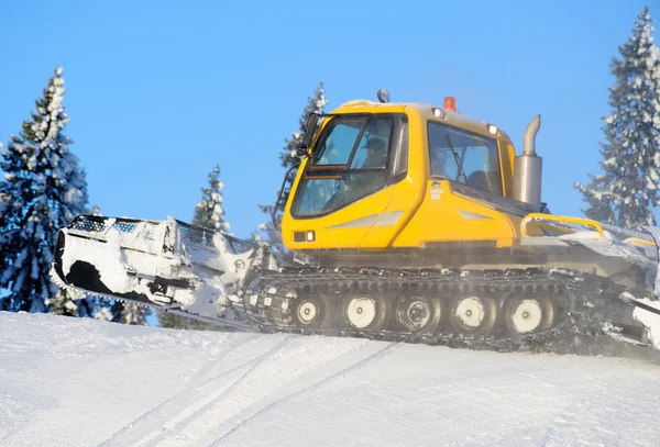 stock image Yelow ratrack