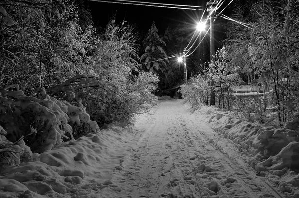 Noche invierno paisaje — Foto de Stock