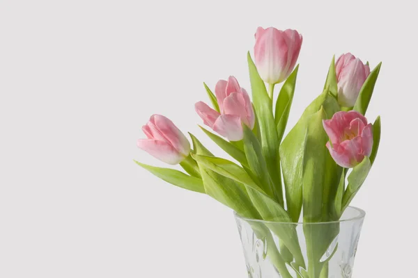 Bunch of tulips. — Stock Photo, Image