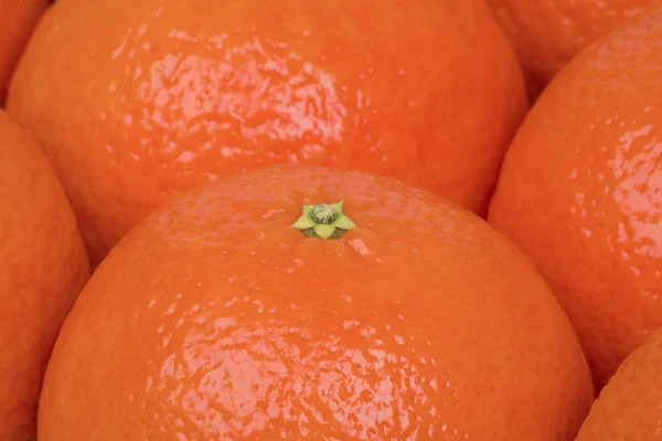 Zavřít mandarinky — Stock fotografie