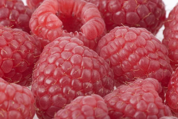 Background from raspberry berries — Stock Photo, Image