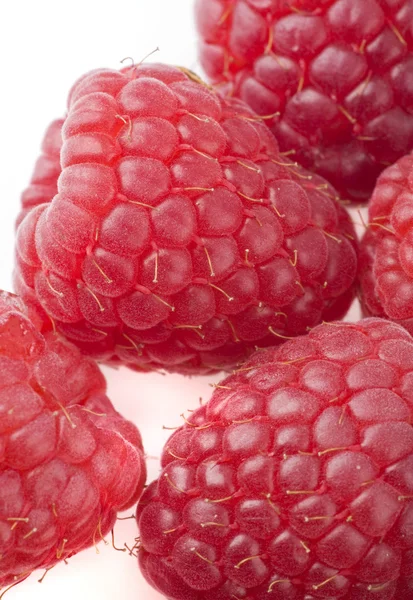 Raspberries on a white background — Stock Photo, Image