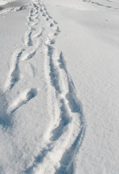 足跡と雪の吹きだまり. — ストック写真