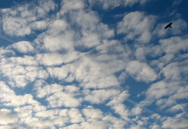 Cielo azul con nubes Imagen de stock