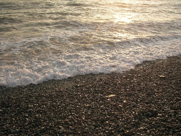 stock image Sea coast in a sunlight