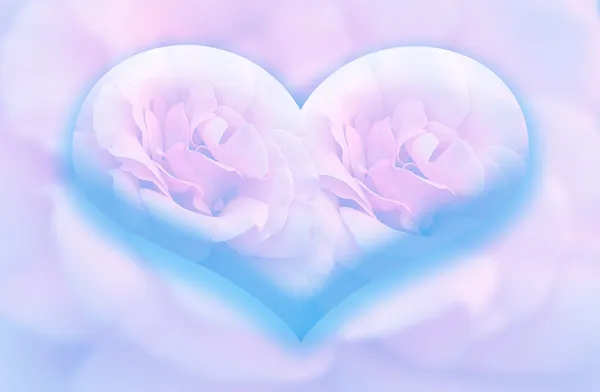 Velké modré srdce dvou růží — Stock fotografie