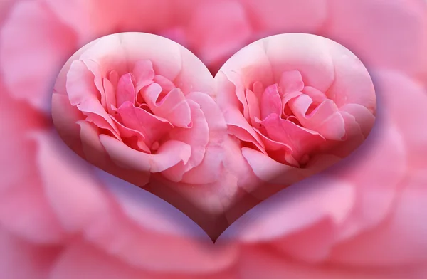 Grote hart van de twee rozen — Stockfoto