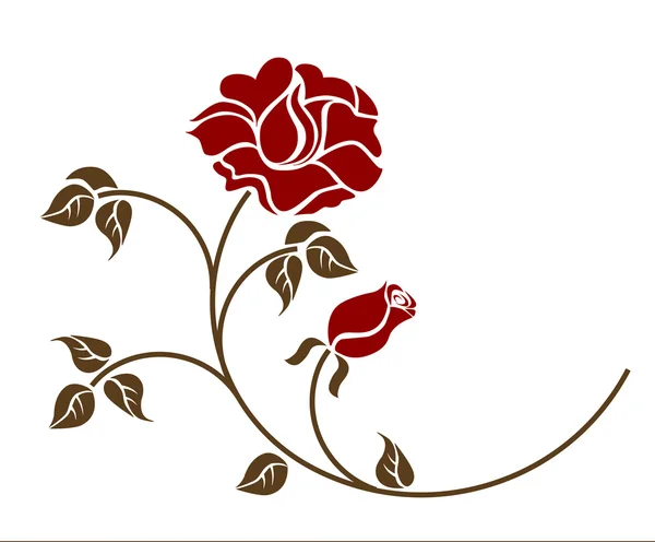 Rote Rosen vor weißem Hintergrund. — Stockvektor