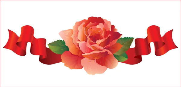 丝带玫瑰 — 图库矢量图片