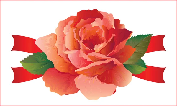 Τριαντάφυλλο με κορδέλες — Διανυσματικό Αρχείο