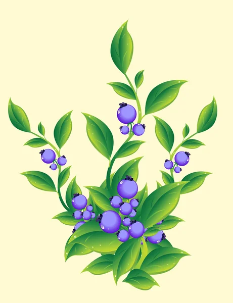 Illustration der Beeren — Stockvektor