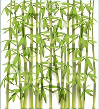 Bamboo background clipart