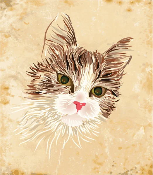 고풍 스러운 고양이 사진 — 스톡 벡터