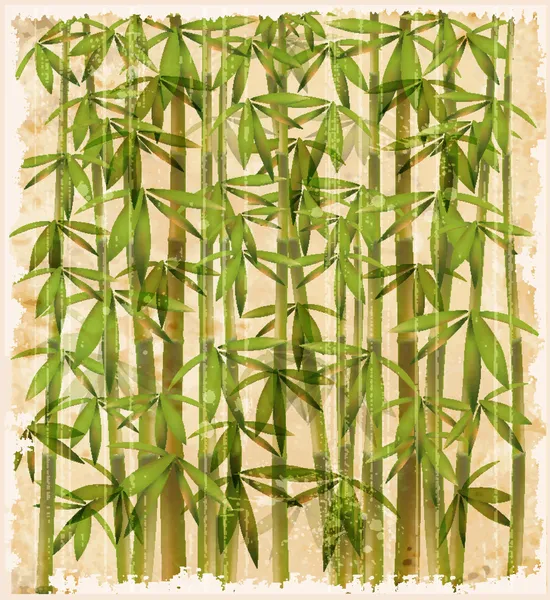 Bambusové lesy — Stockový vektor