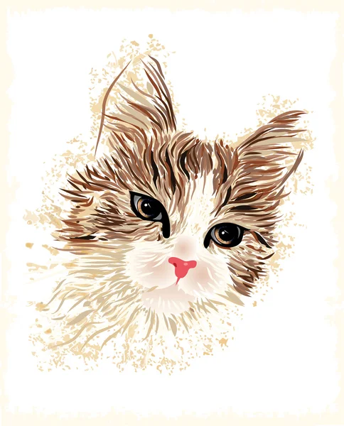 Vintage porträtt av katten — Stock vektor