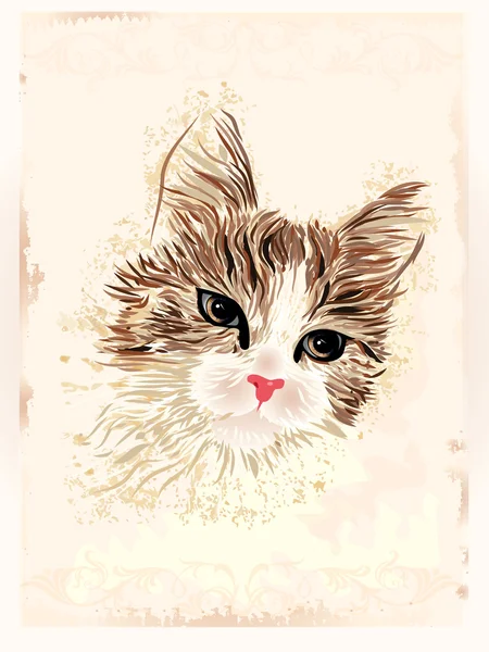 Vintage portret van de kat — Stockvector