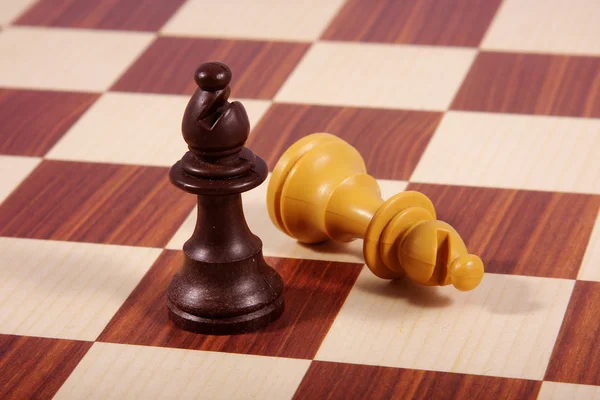 Two bishops on chess board — Stock Photo, Image