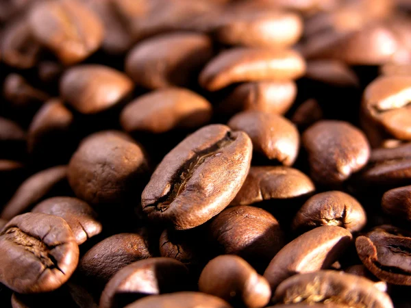 Grains of coffee — Stock Photo, Image