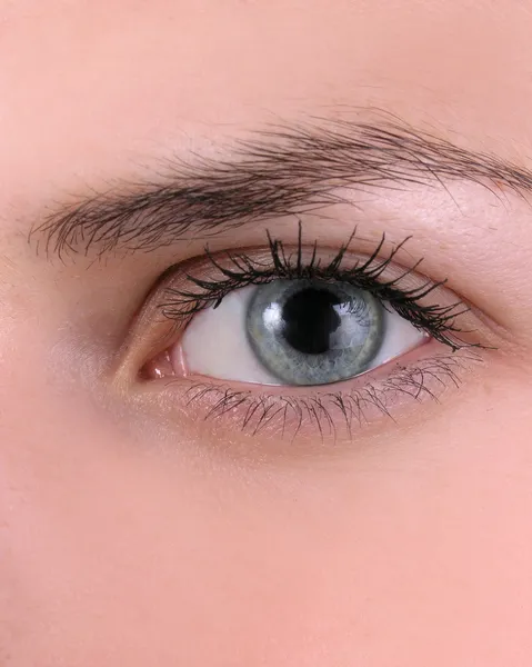 Forma bonita do olho feminino — Fotografia de Stock