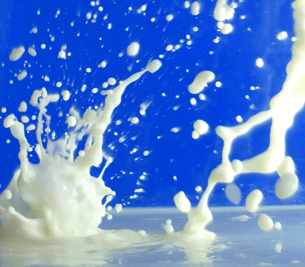 Капли свежего молока — стоковое фото