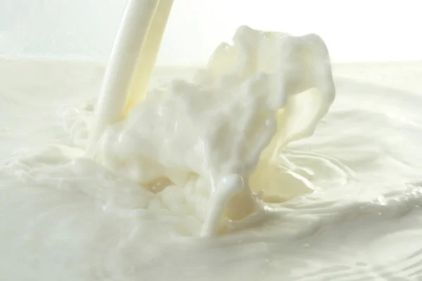 O leite saboroso e fresco que se vaza — Fotografia de Stock
