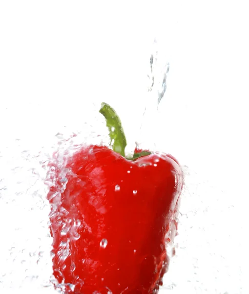 Röd paprika isolerad på en vit bakgrund och vatten — Stockfoto