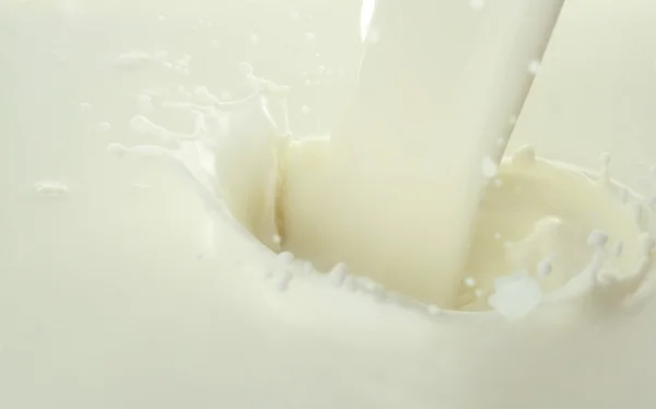 Вкусное и свежее молоко, которое наливают — стоковое фото