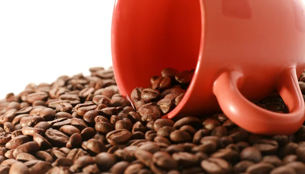 Smažené zrna kávy a pohár — Stock fotografie
