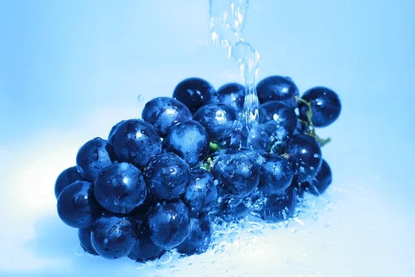 Blue grape — Stock Photo, Image