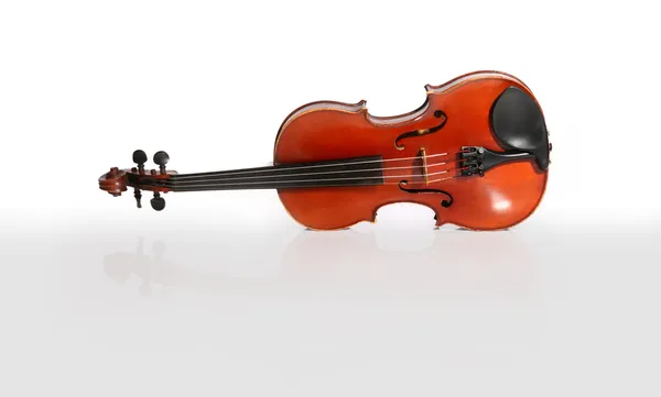 Violin isolated on white and reflected — Stock Photo, Image