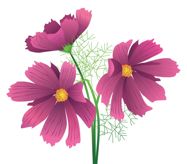 Blomma hibiscus — Stock vektor